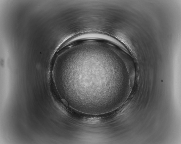 X0000087350156200704271425