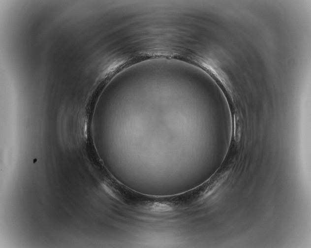 X0000087350157200704271425
