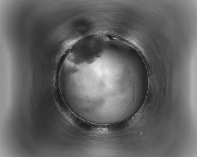 X0000087350159200704271425