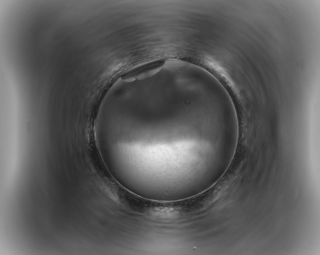 X0000087350161200704271425