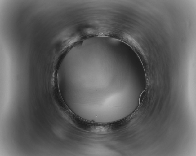 X0000087350163200704271425