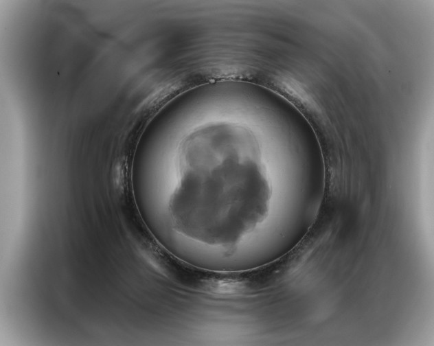 X0000087350165200704271426