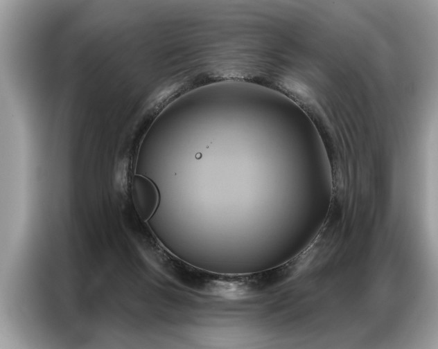 X0000087350167200704271426