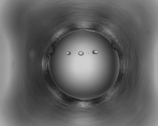 X0000087350168200704271426