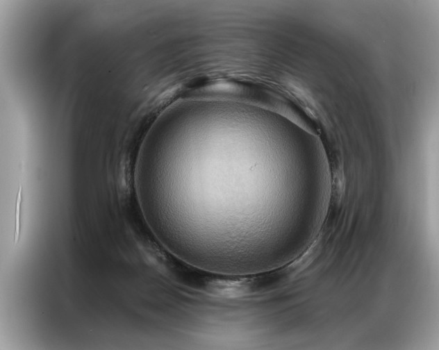 X0000087350170200704271426