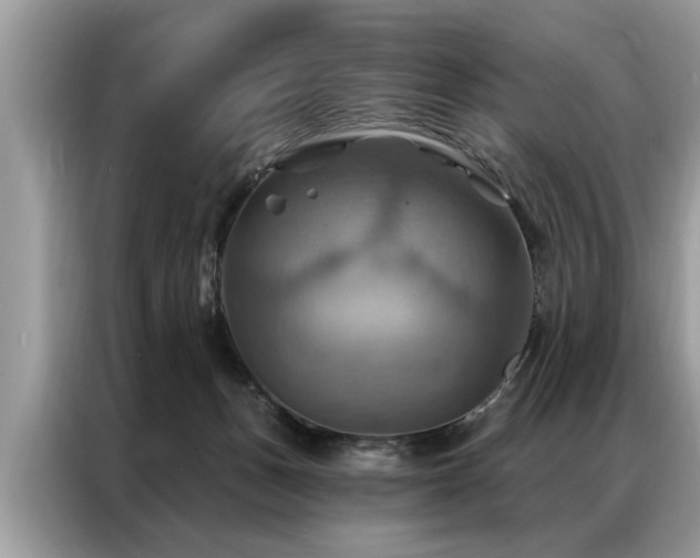 X0000087350175200704271426