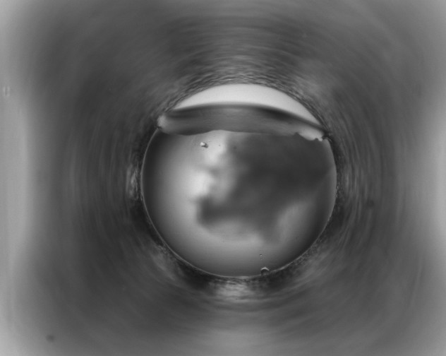 X0000087350177200704271426