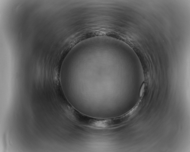 X0000087350178200704271426