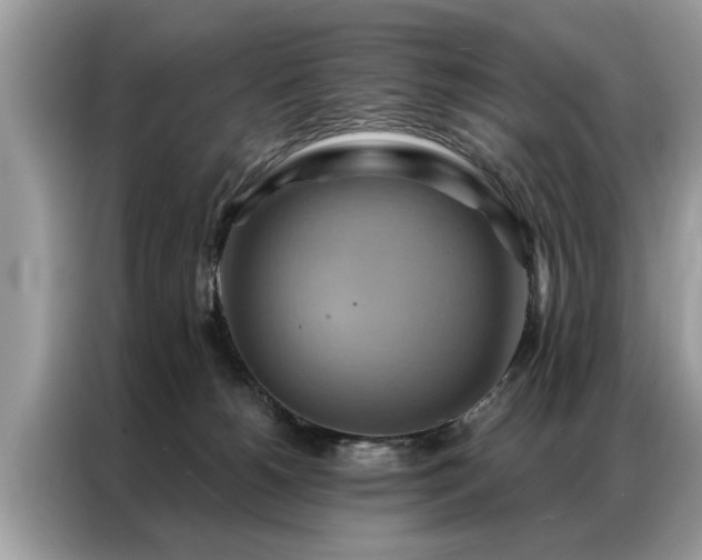 X0000087350180200704271426