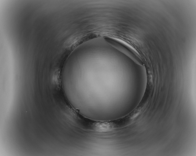 X0000087350181200704271426