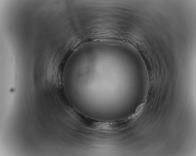X0000087350182200704271426