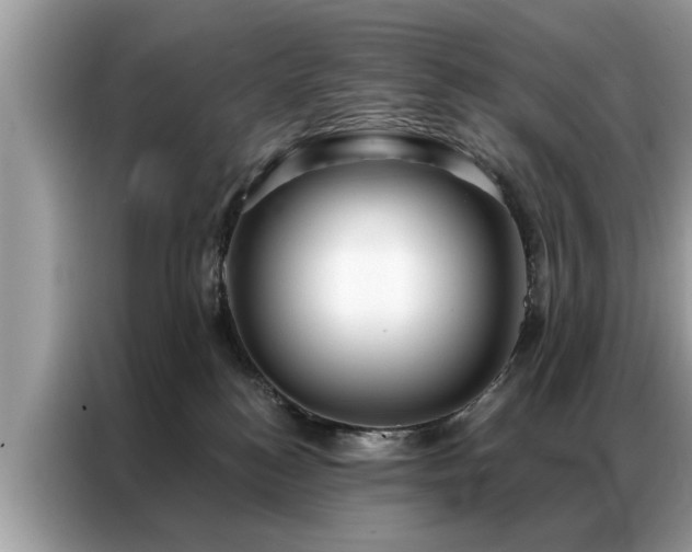 X0000087350184200704271426