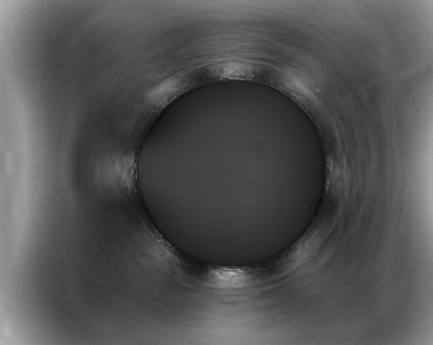 X0000087350189200704271426