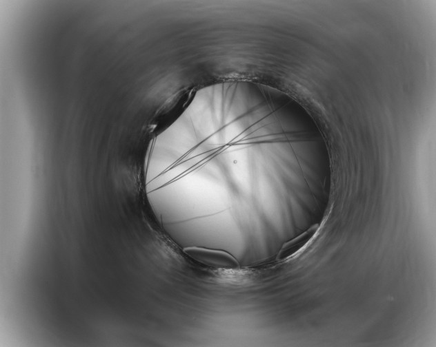 X0000087350192200704271426