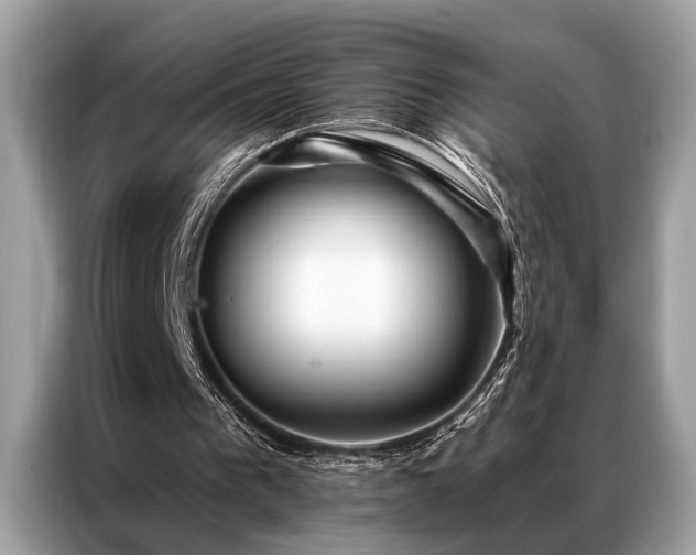 X0000087350193200704271425