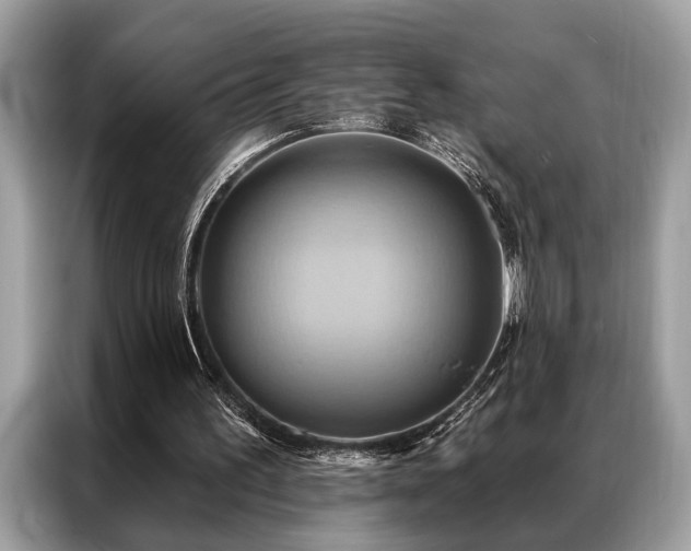 X0000087350195200704271425
