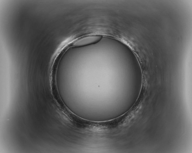 X0000087350199200704271425
