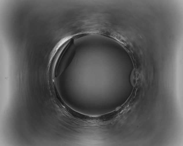 X0000087350200200704271425