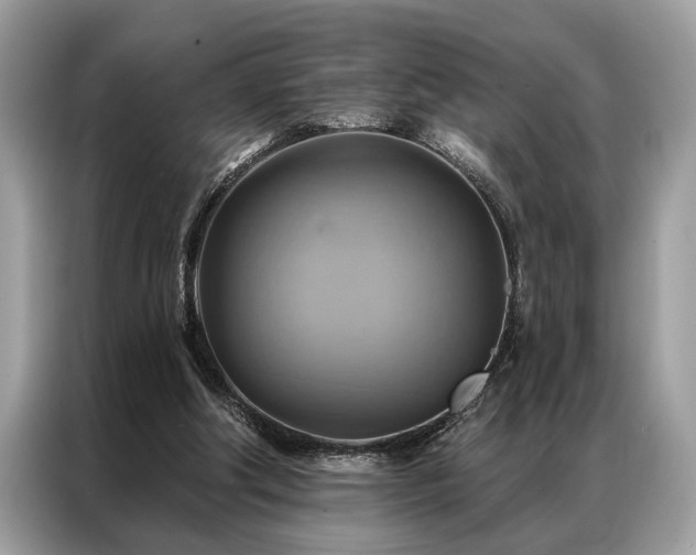 X0000087350202200704271425