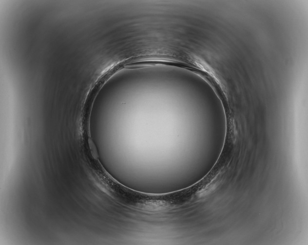 X0000087350203200704271425