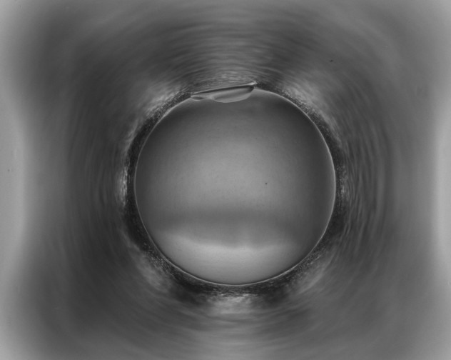 X0000087350206200704271425