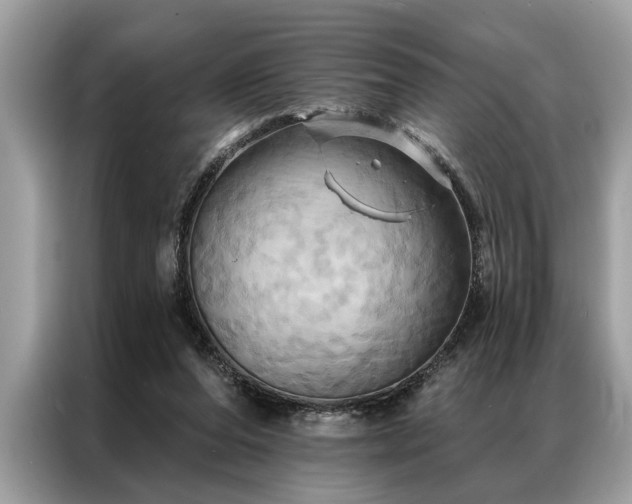 X0000087350208200704271425