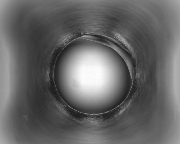 X0000087350209200704271425