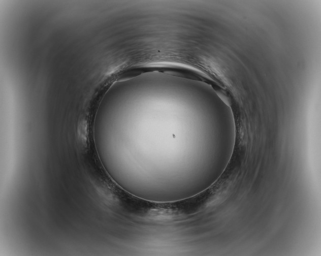 X0000087350211200704271425