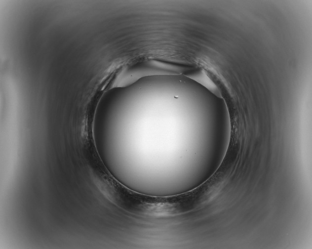 X0000087350212200704271425