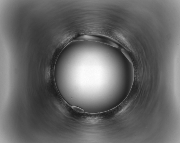 X0000087350213200704271425
