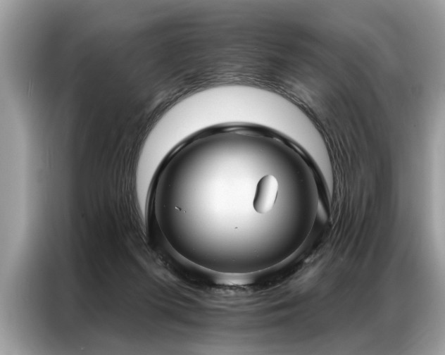 X0000087350215200704271425