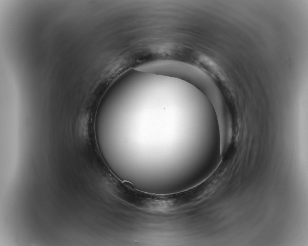 X0000087350217200704271425
