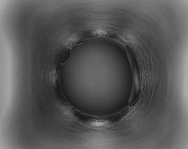 X0000087350223200704271425