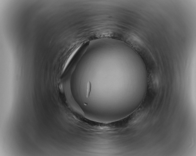 X0000087350224200704271425