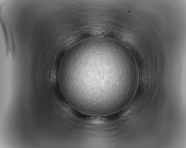 X0000087350226200704271425