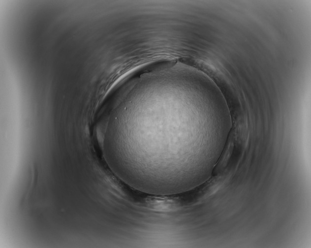 X0000087350229200704271425
