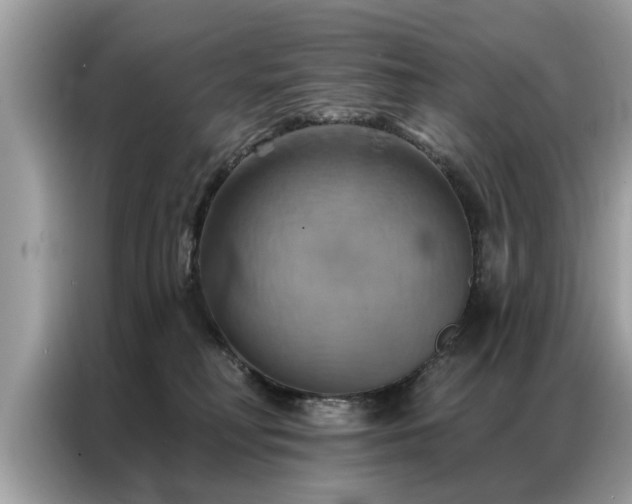 X0000087350230200704271425
