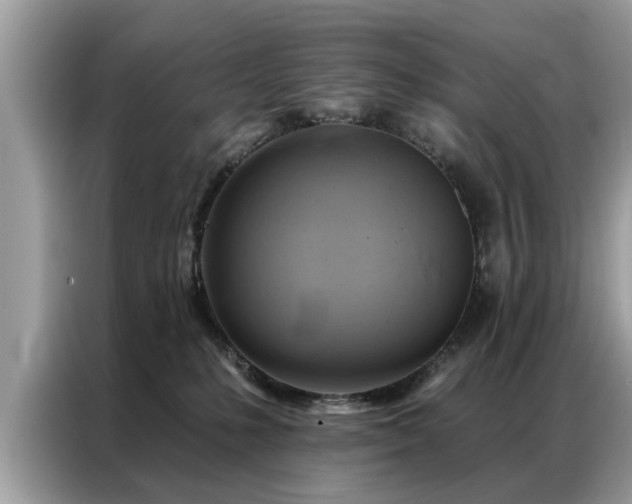 X0000087350231200704271425