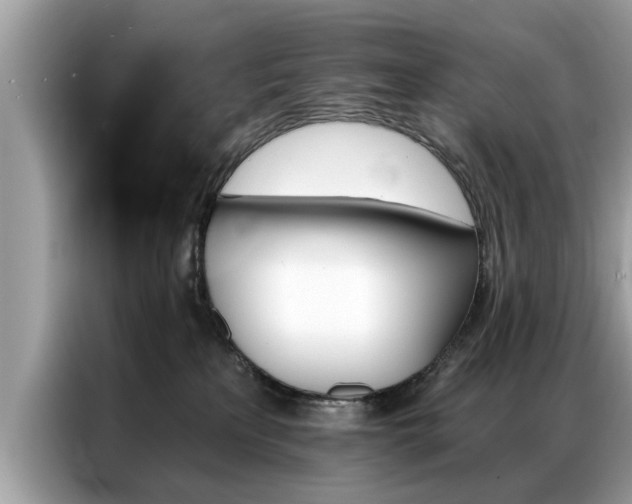 X0000087350233200704271425