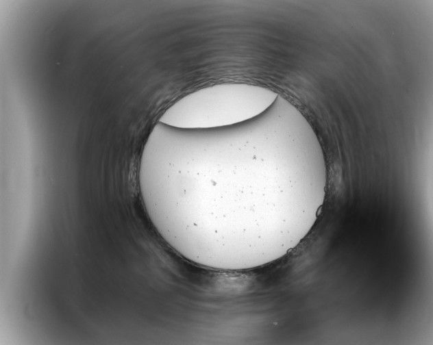X0000087350234200704271425