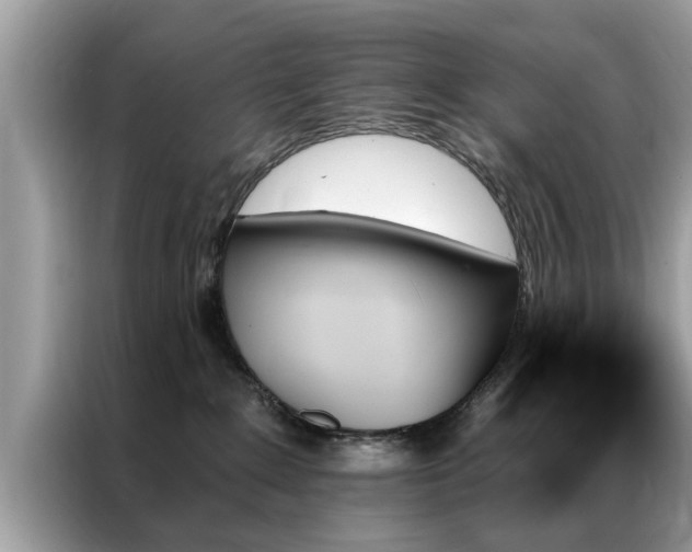 X0000087350235200704271425