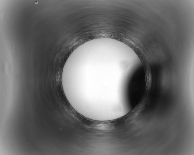 X0000087350236200704271425
