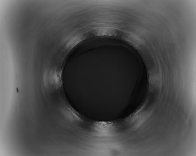 X0000087350239200704271425