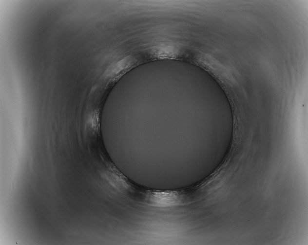 X0000087350240200704271425