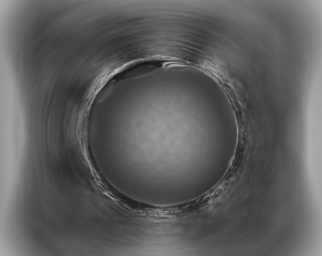 X0000087350241200704271424