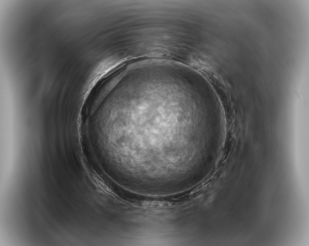 X0000087350242200704271424