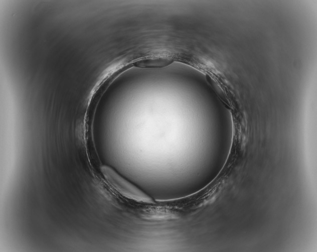 X0000087350244200704271424