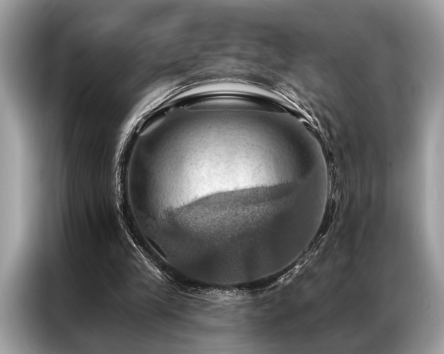 X0000087350245200704271424