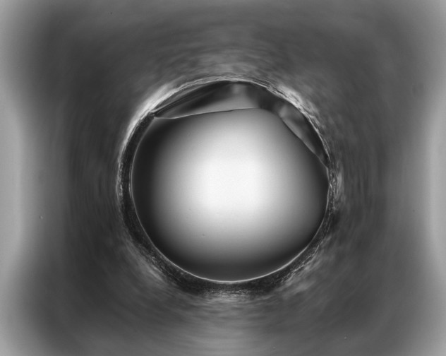 X0000087350248200704271424