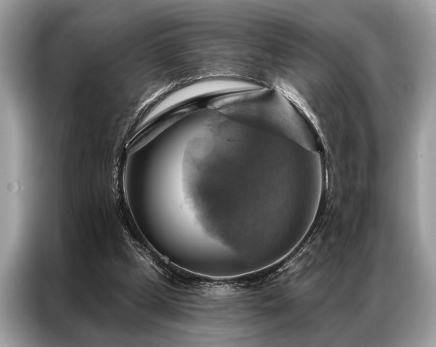 X0000087350249200704271424